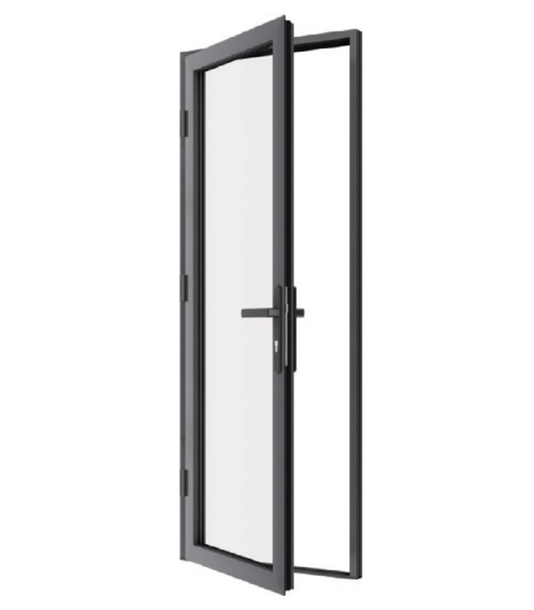 VLX 100 Swing / Entry Door in Palmetto Bay, FL | TruePane Windows & Doors - detail 2