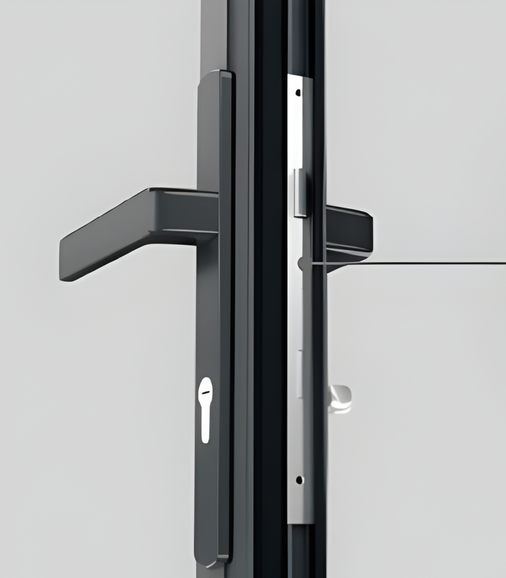 VLX 100 Swing / Entry Door in Palmetto Bay, FL | TruePane Windows & Doors - detail 5